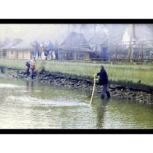 Rok 1994 - Výlov rybníka a vybagrování